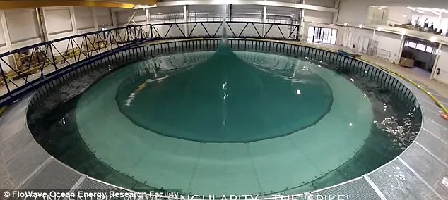 47E6E5EC00000578-0-image-a-18_1515421315492.jpg
