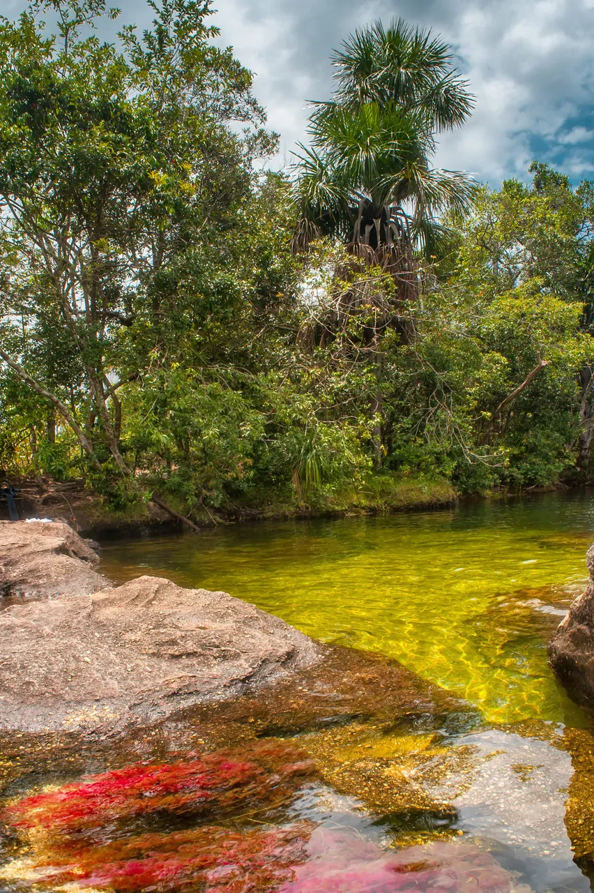 cano-cristales-el-arco-iris-que-se-derritio.jpg