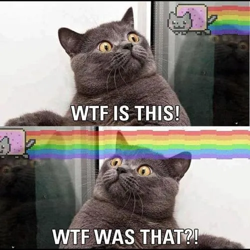 my life as a new steemit minnow.jpg