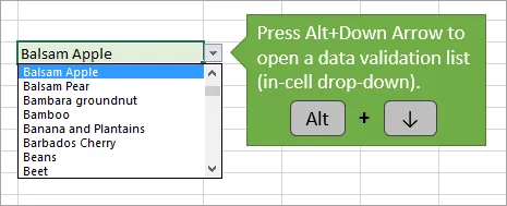 Alt-Down-Arrow-to-Open-Data-Validation-List.png