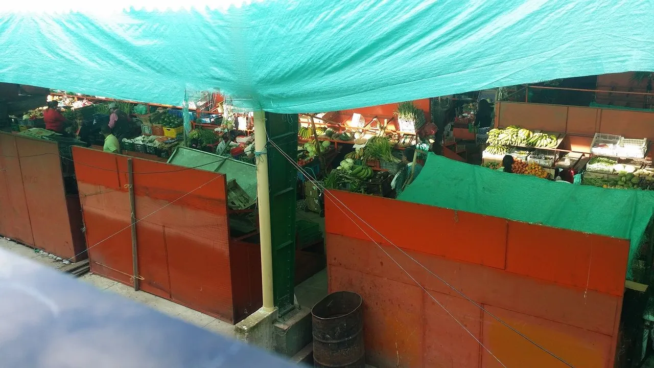 7 - From the balcony I can see the vendors selling their delicious vegetable wares plaza Libano Tolima.jpg