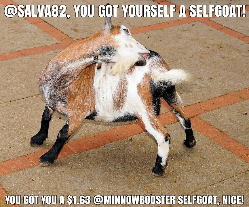 @salva82 got you a $1.63 @minnowbooster upgoat, nice!