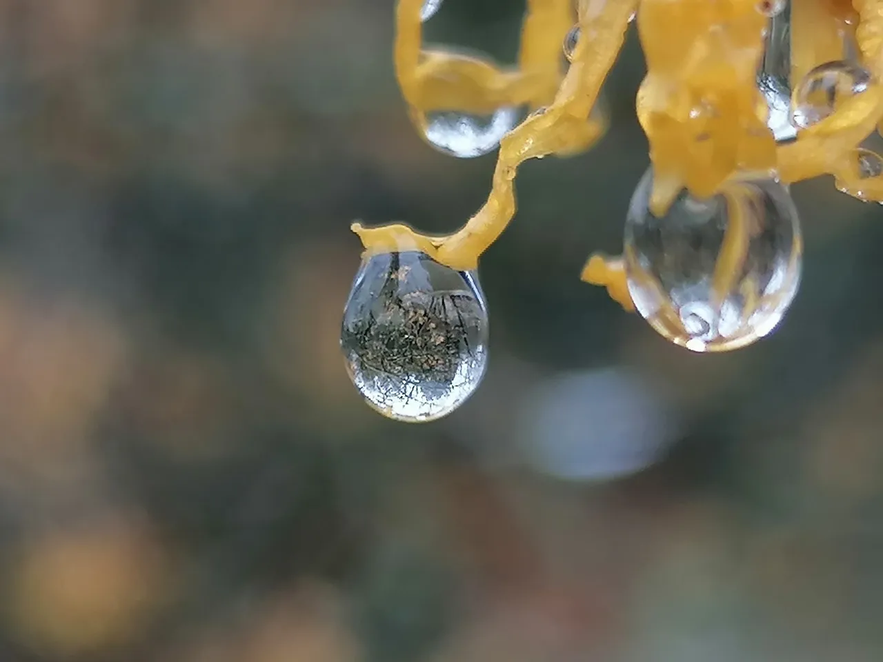 IMG_20200311_105144.jpg
