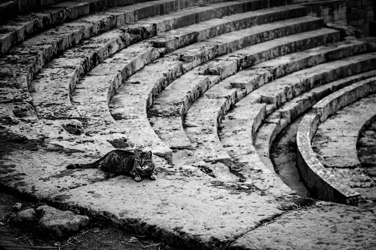 romeo_colosseo9570.jpg