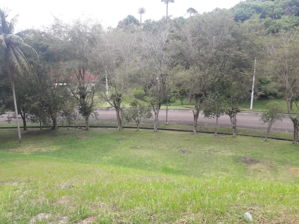 IMG20200612WA0036.jpg