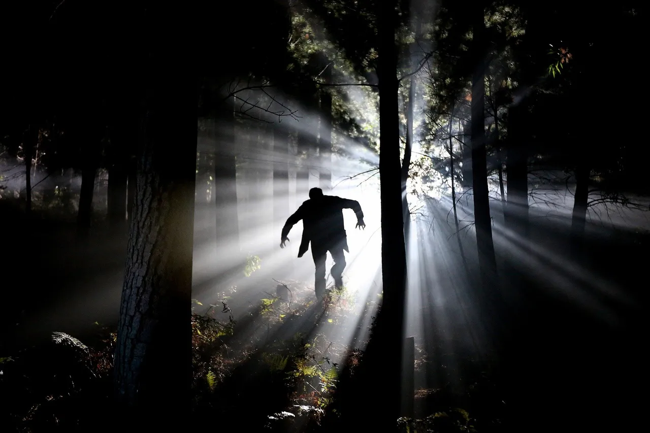 eery1648250_1920.jpg
