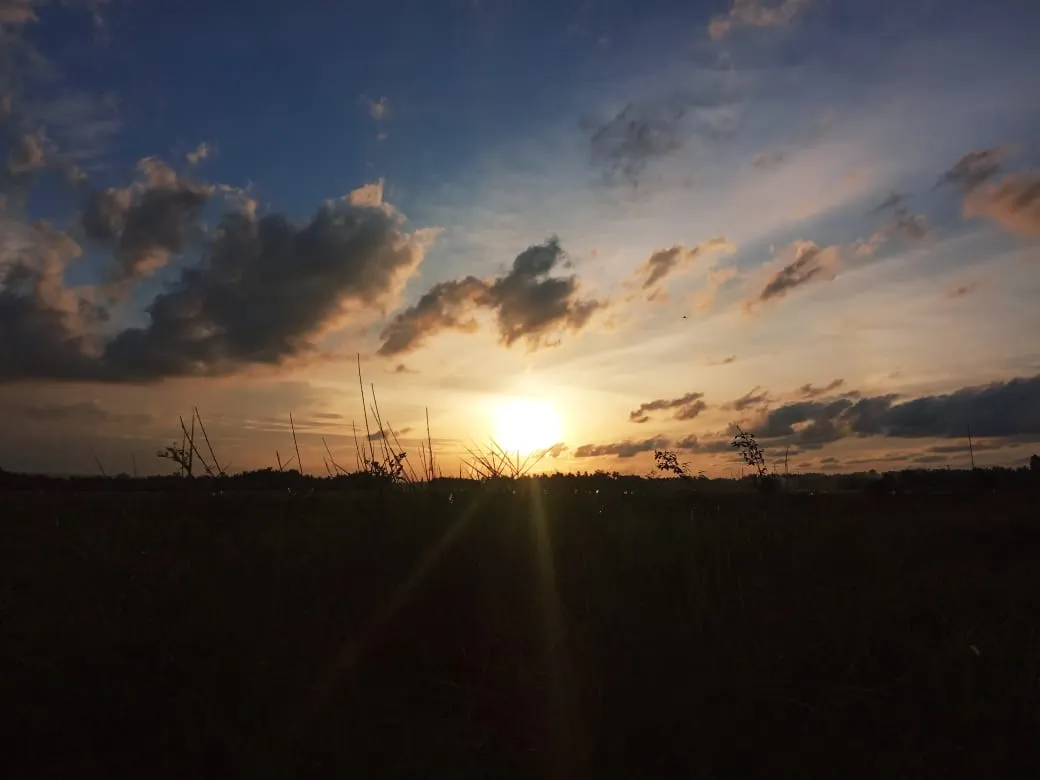 IMG20200916WA0005.jpg