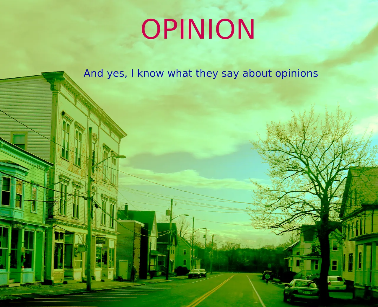 opinion20210117.png