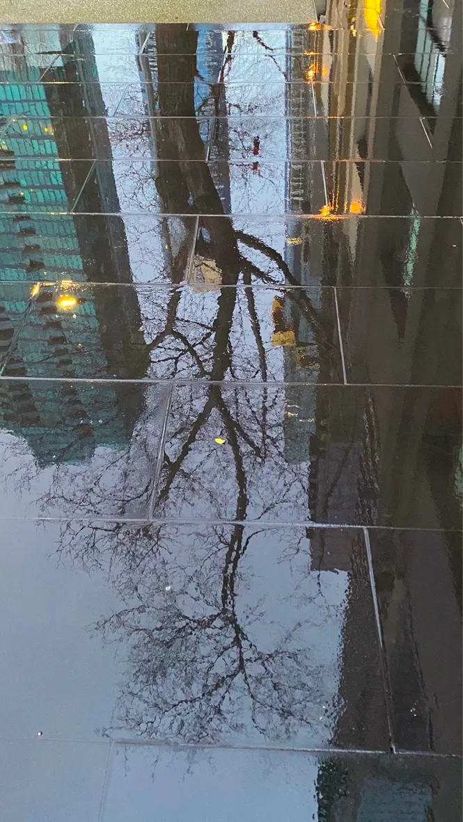 reflections.jpg