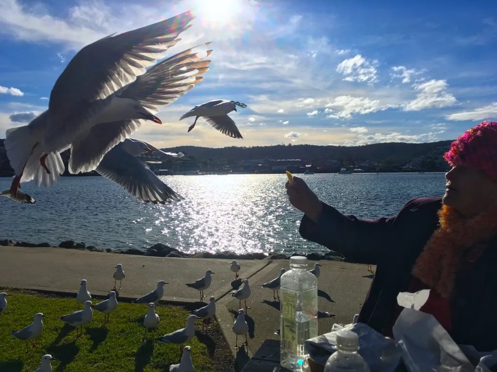 SEAGULLS 4.jpg