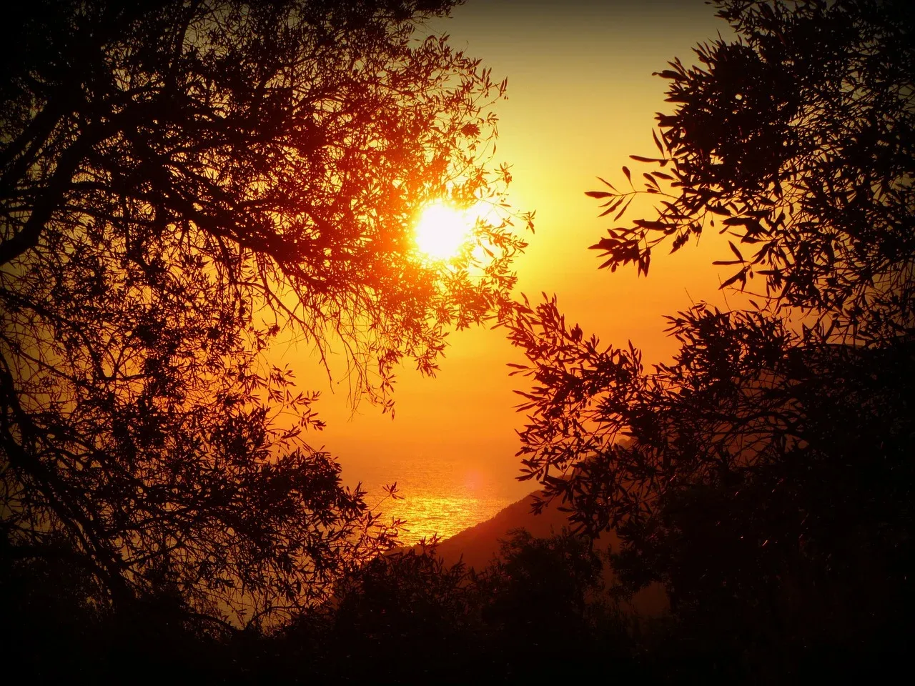 sun115448_1280.webp