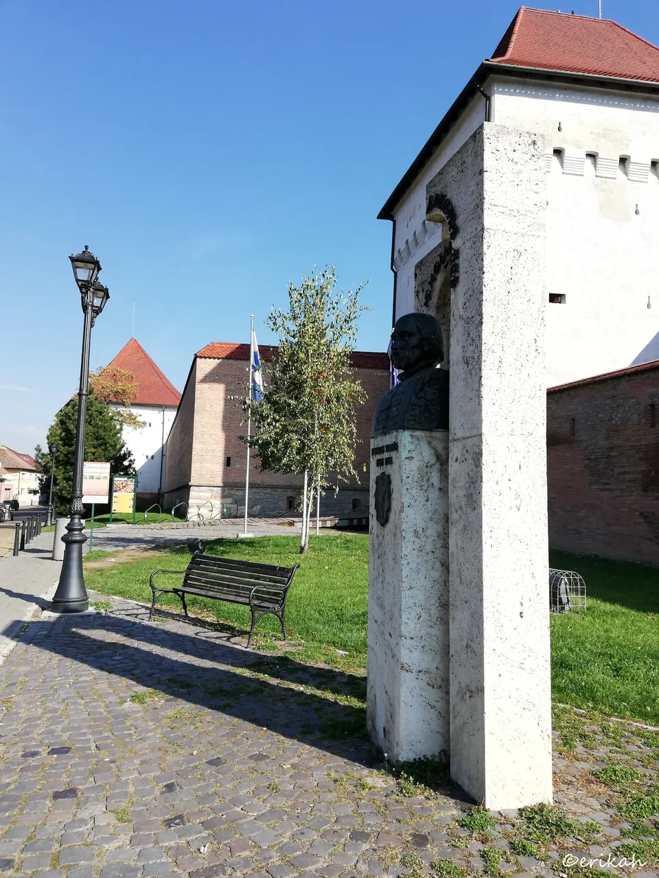 IMG_20191017_114934a.jpg