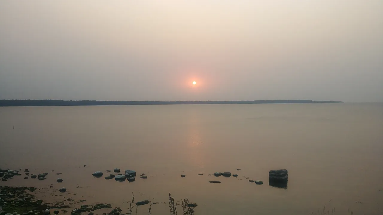 20201002_181725.jpg