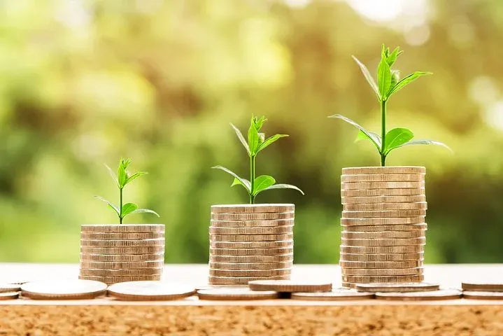 money2696219__480.webp