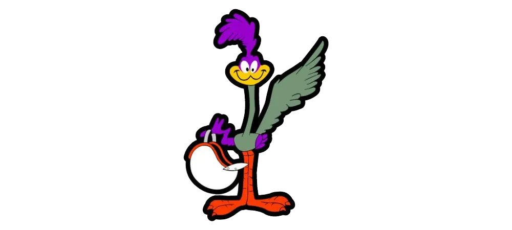 ROADRUNNER PIC.png