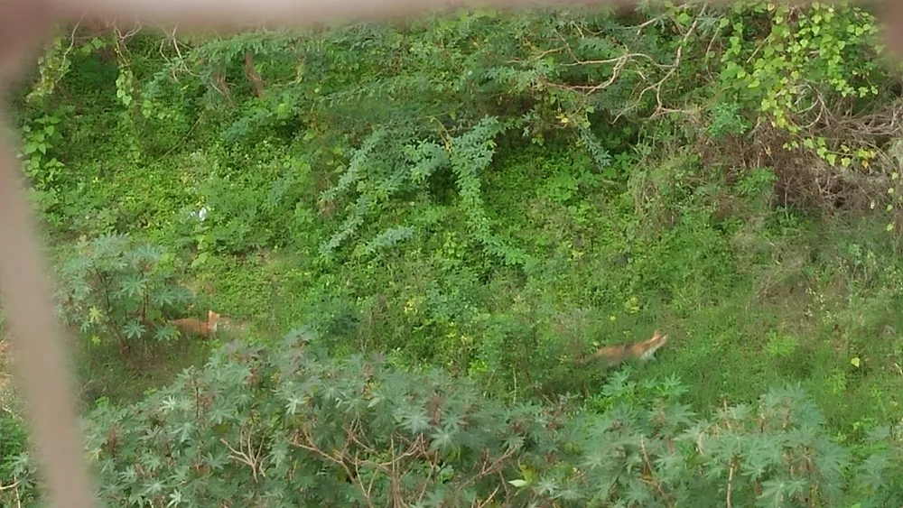IMG20200609090649.jpg