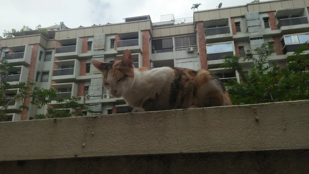 IMG20200629110515.jpg