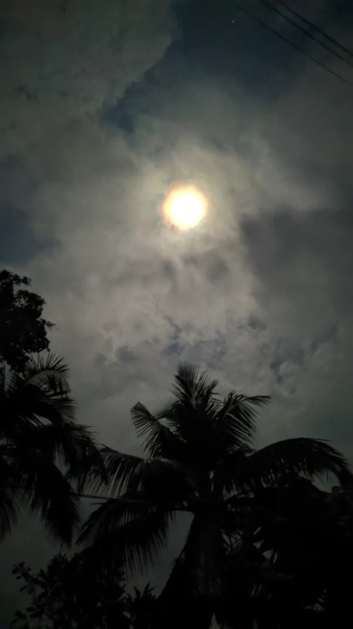 IMG_20200503_191703.jpg
