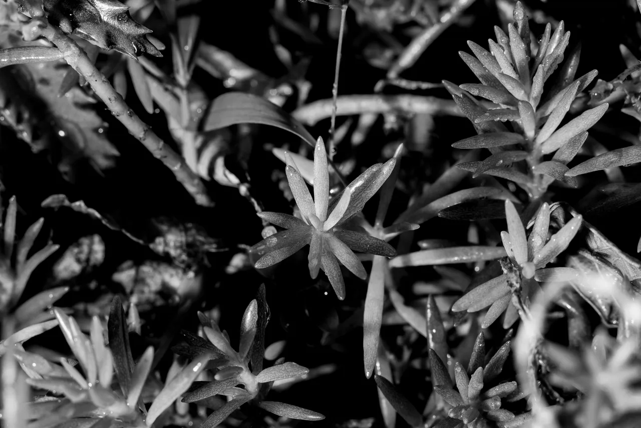 patio 5 of 8.JPG