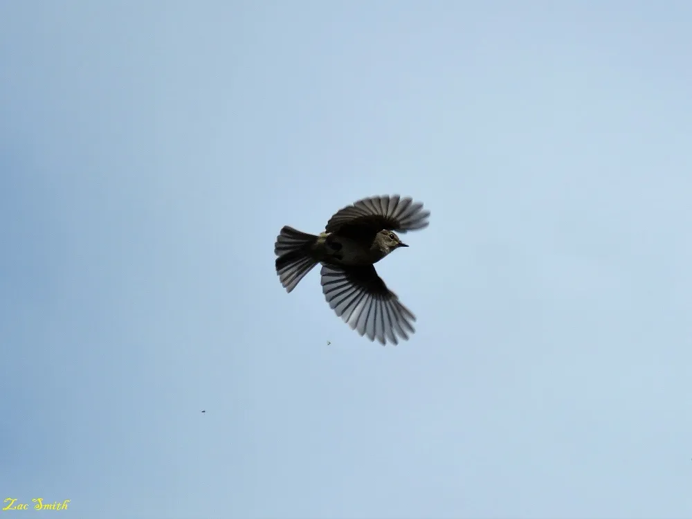 IMG_4265 2.JPG