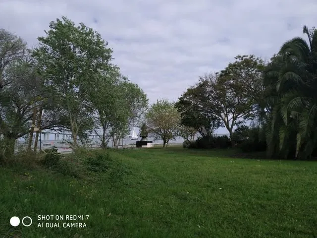 perfect shot.jpg