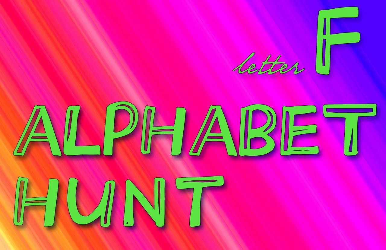 Cover  F E.jpg
