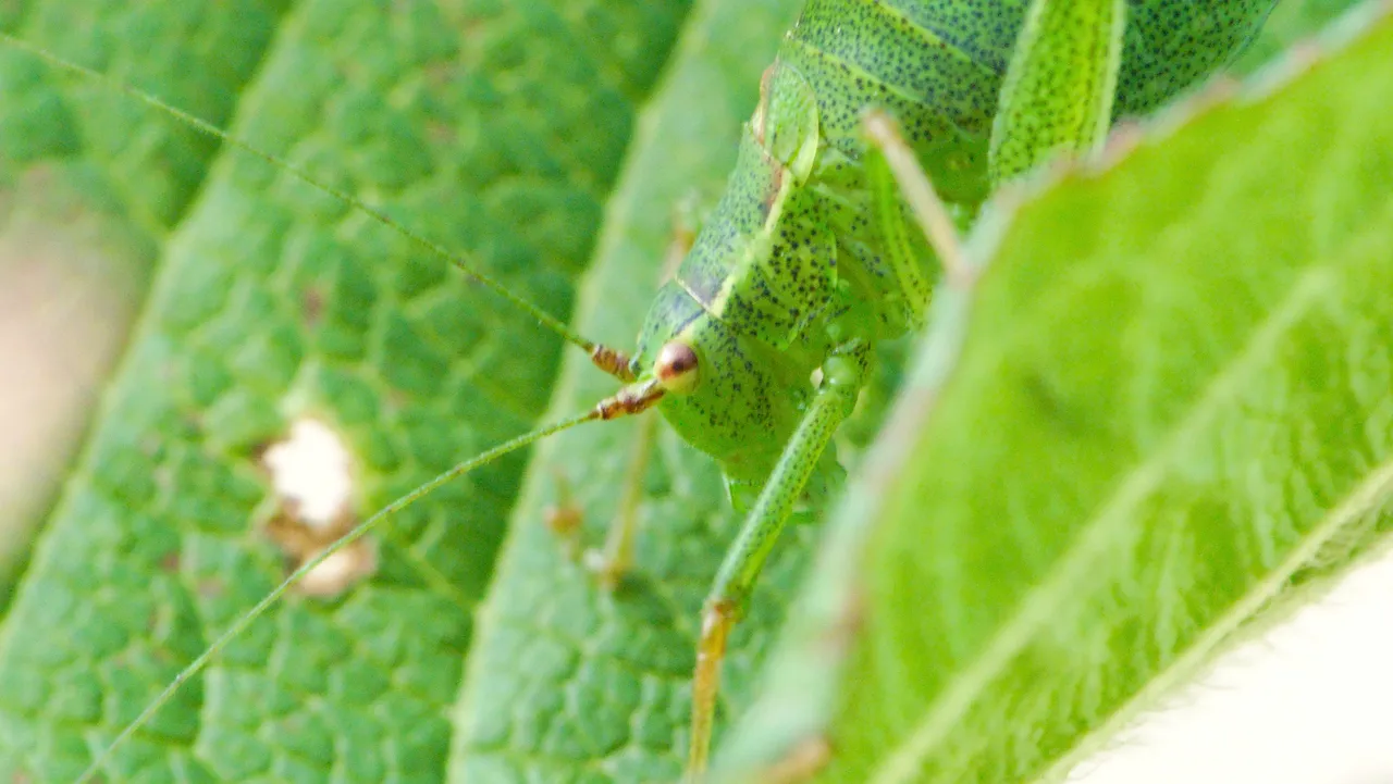 20151002181334.jpg
