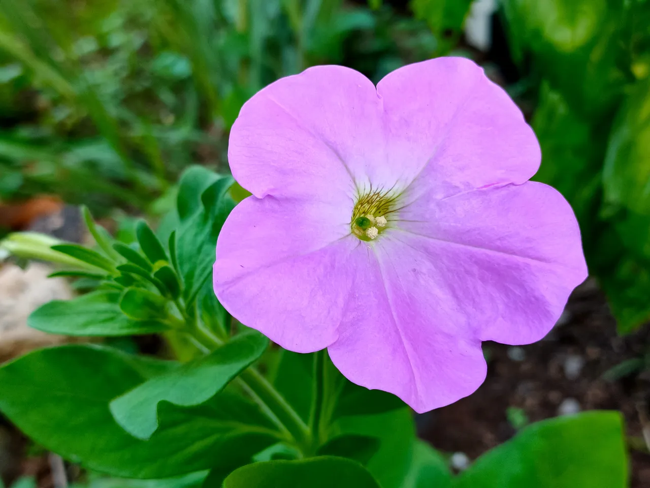 20201223 06.32.38.jpg