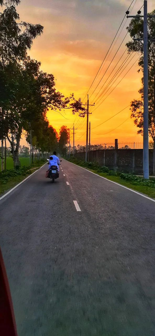 20200902_18074001.jpeg