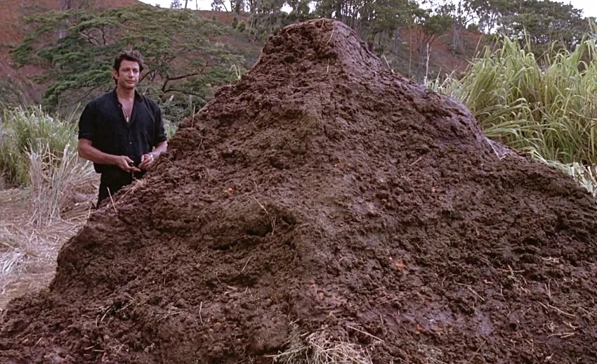 pileofshit.jpg