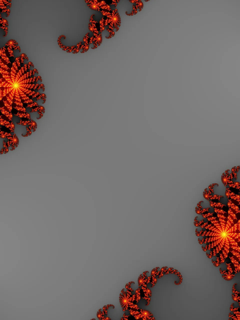 julia fractal.jpg