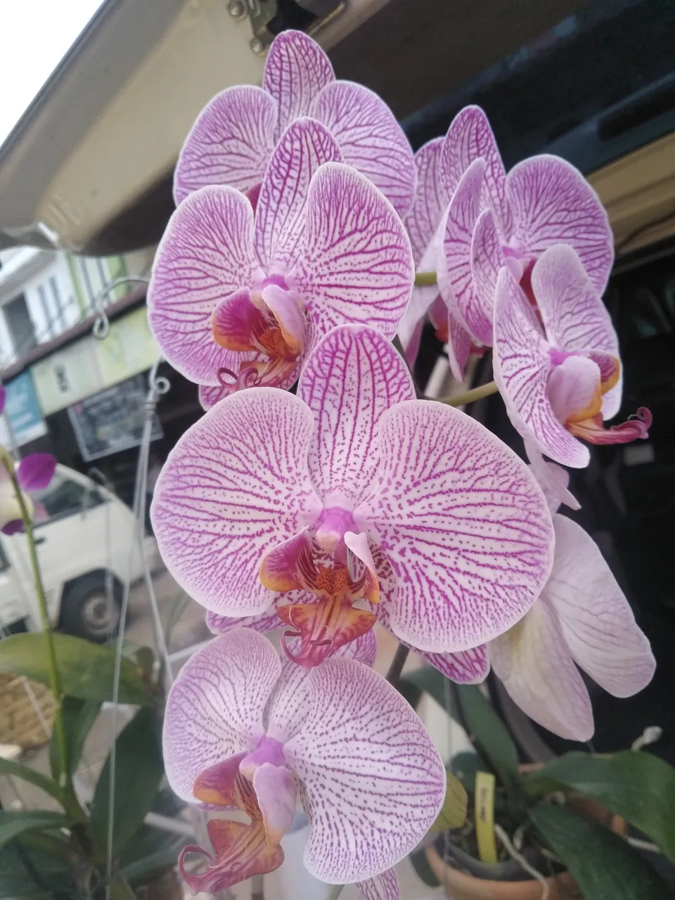 IMG20201028091015.jpg
