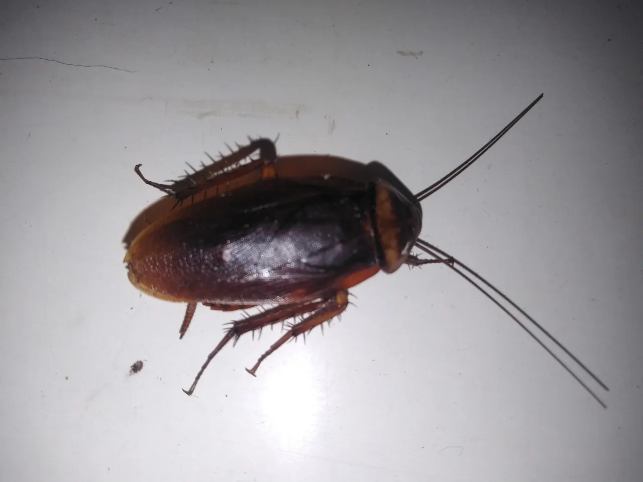 IMG20200920090908.jpg