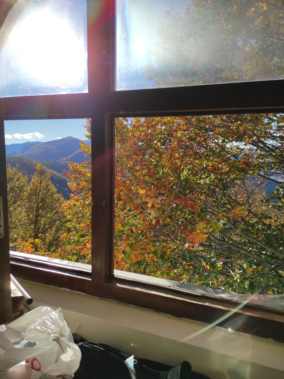 IMG_20201101_084226.jpg