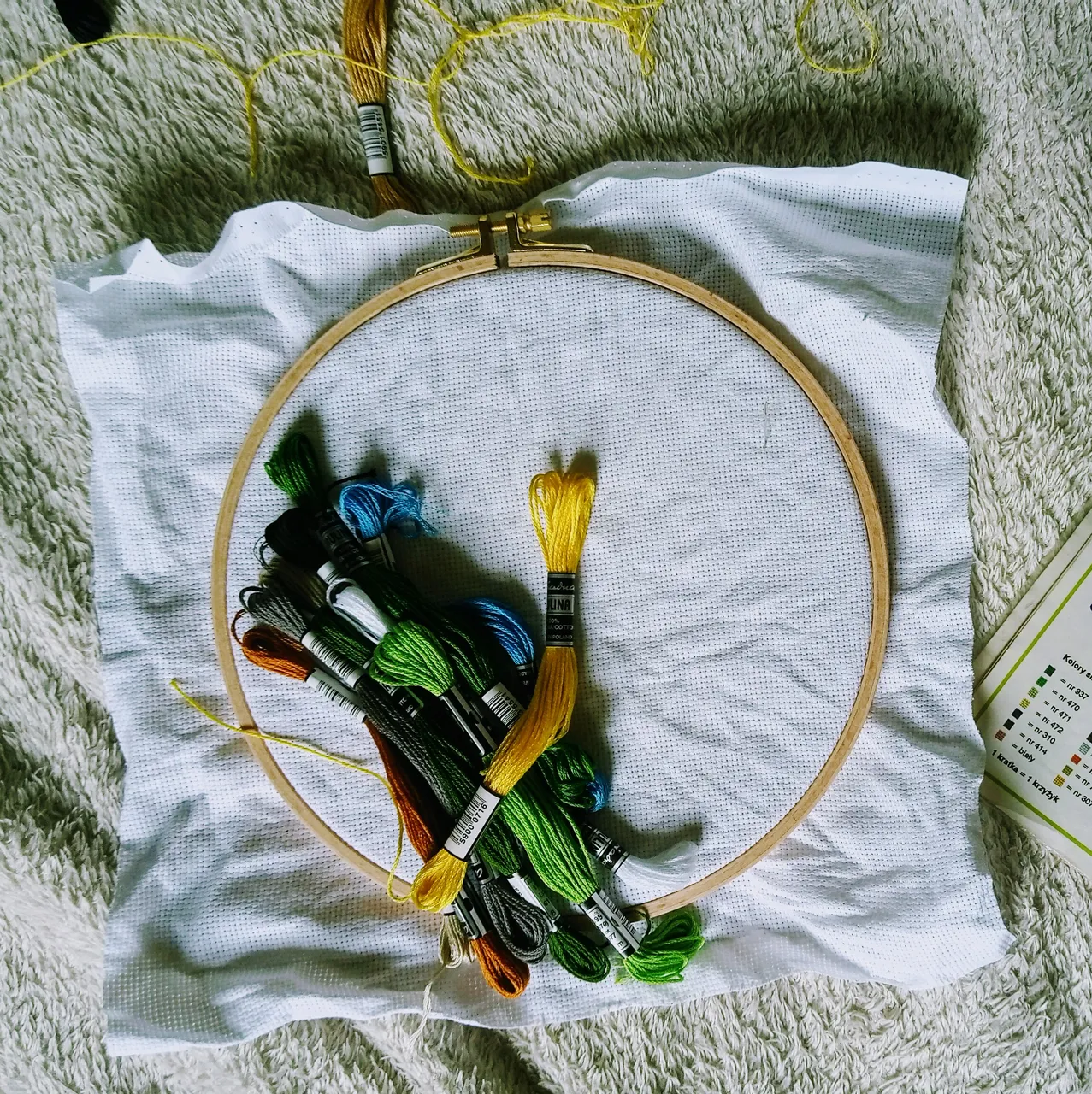 IMAG0534_2.jpg