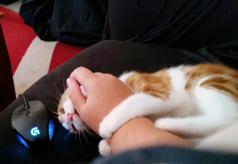 20191218_1330221.jpg