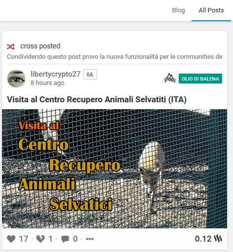 immagine.png