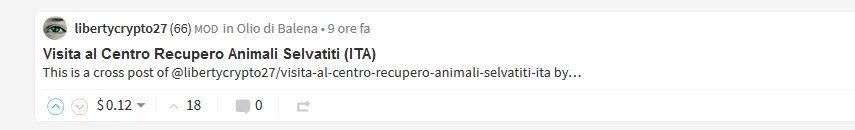 immagine.png
