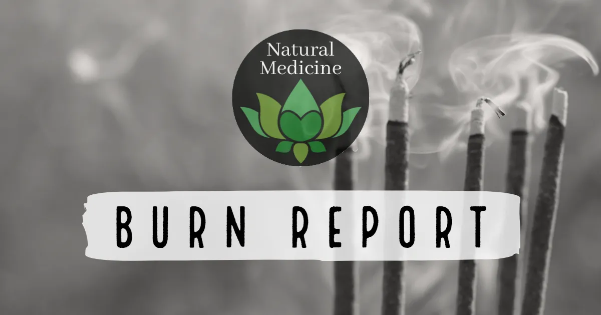 BURN_REPORT_v2.png
