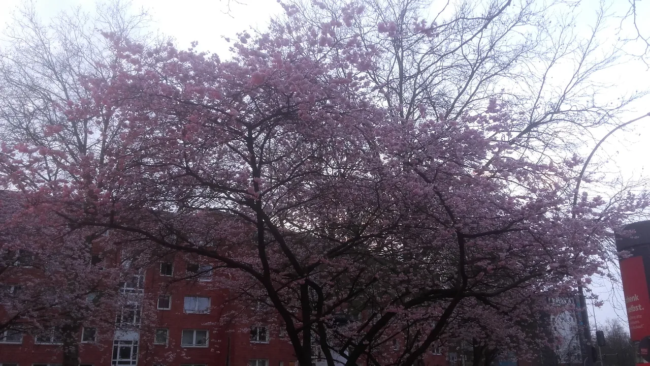 20200319_182059.jpg