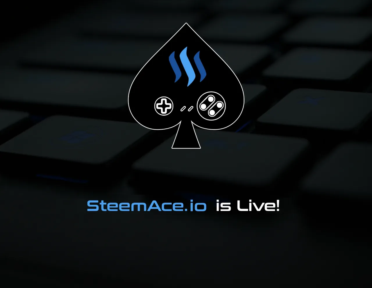 steemace live.jpg