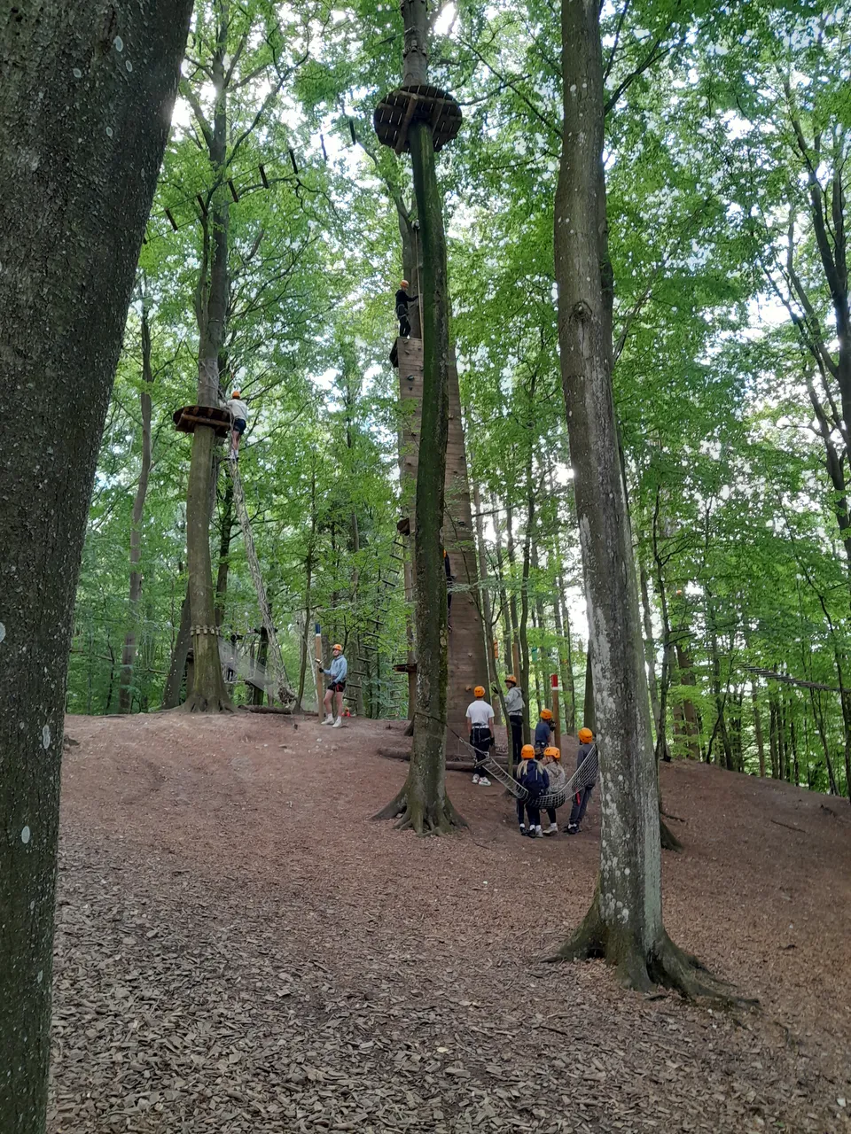 Treetop Climbing🌻😀