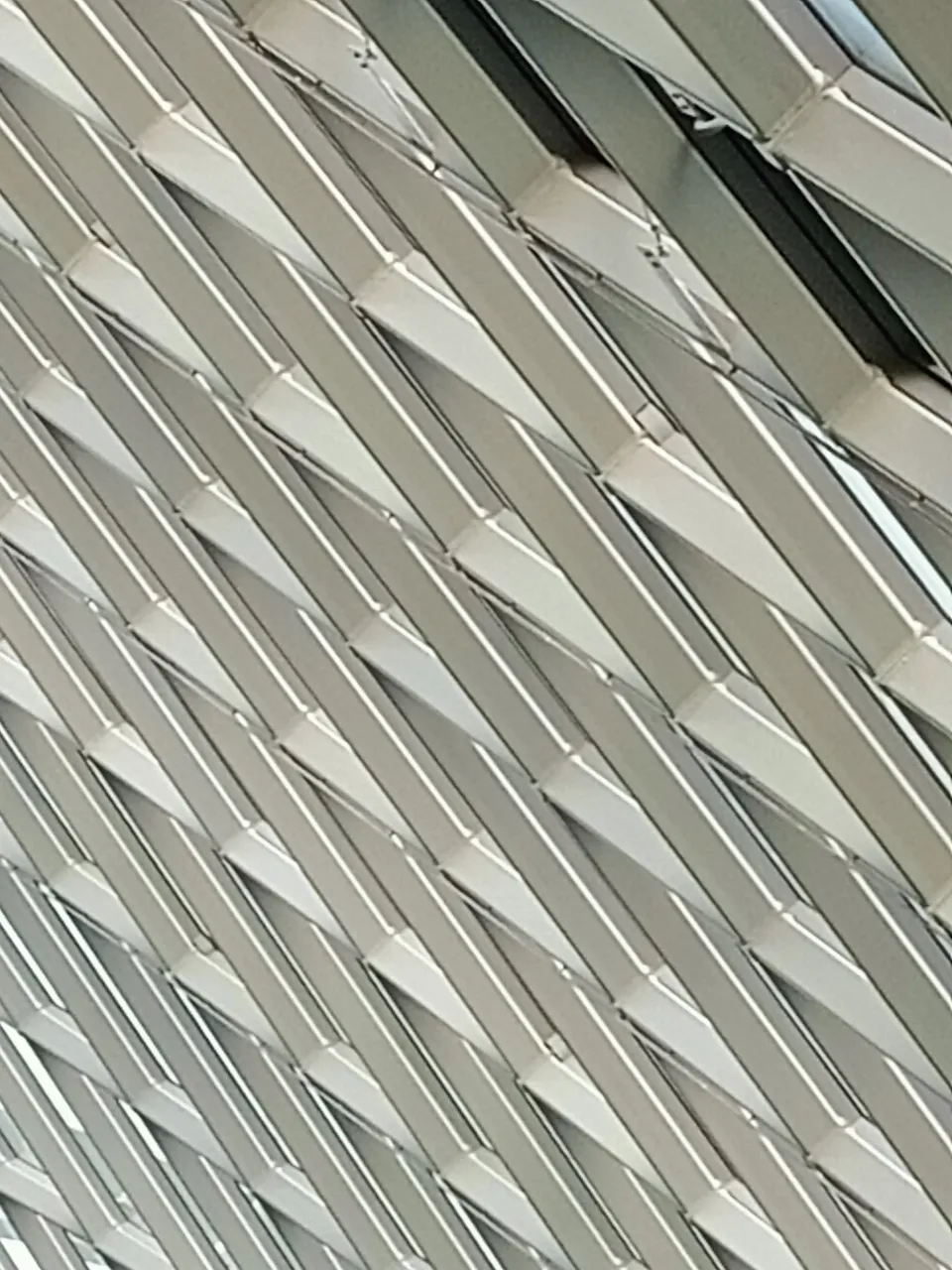 c5.jpg
