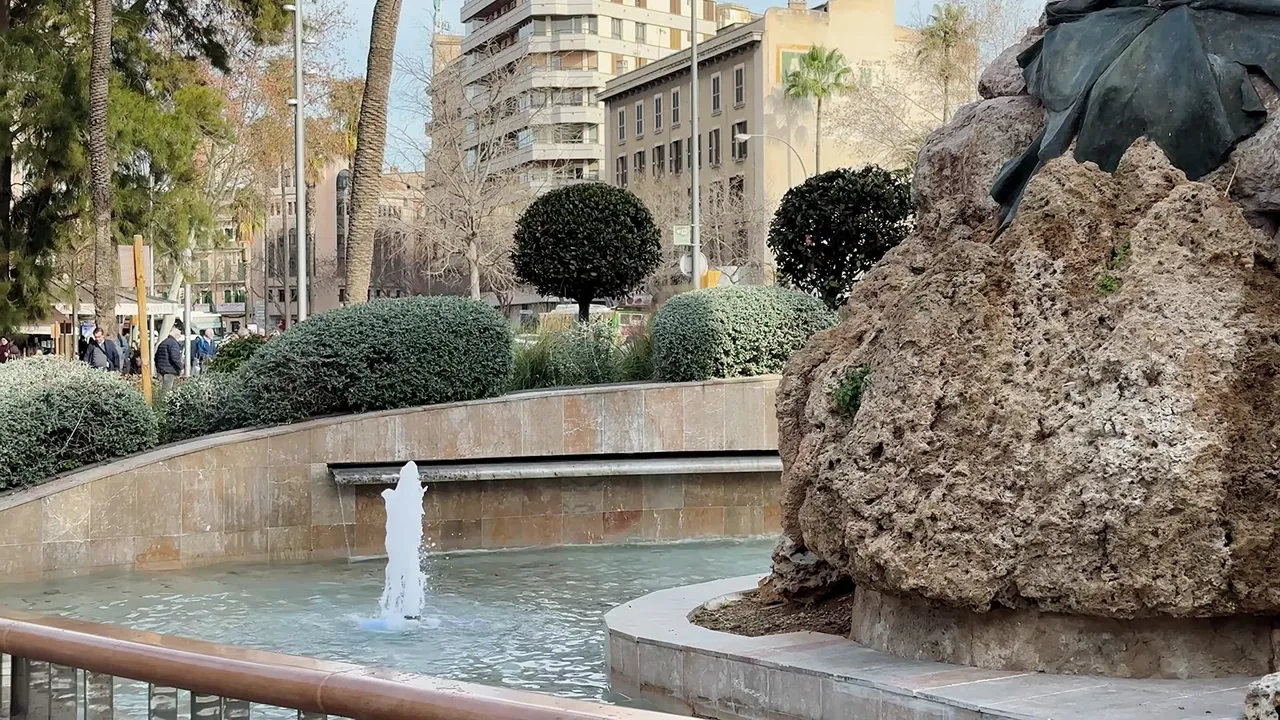 317.jpg