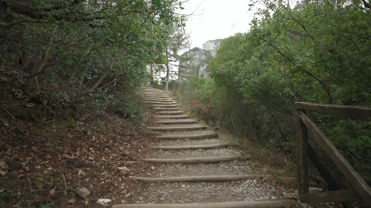 495.jpg