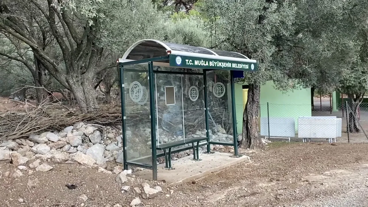 310.jpg