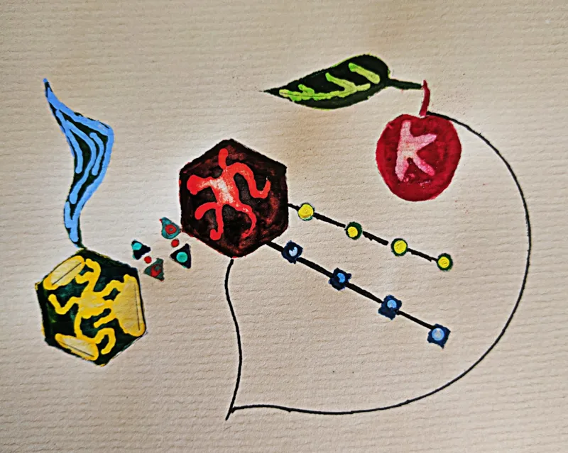 K23.jpg