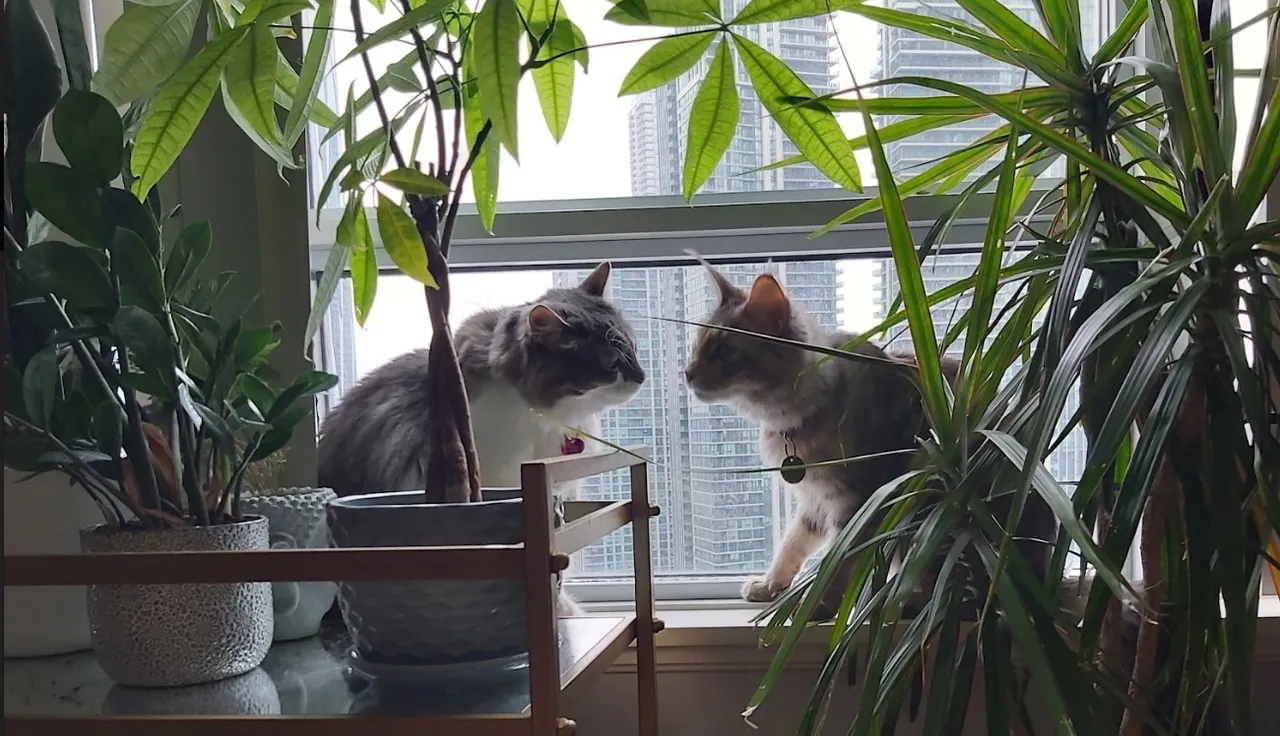 BFF.jpg