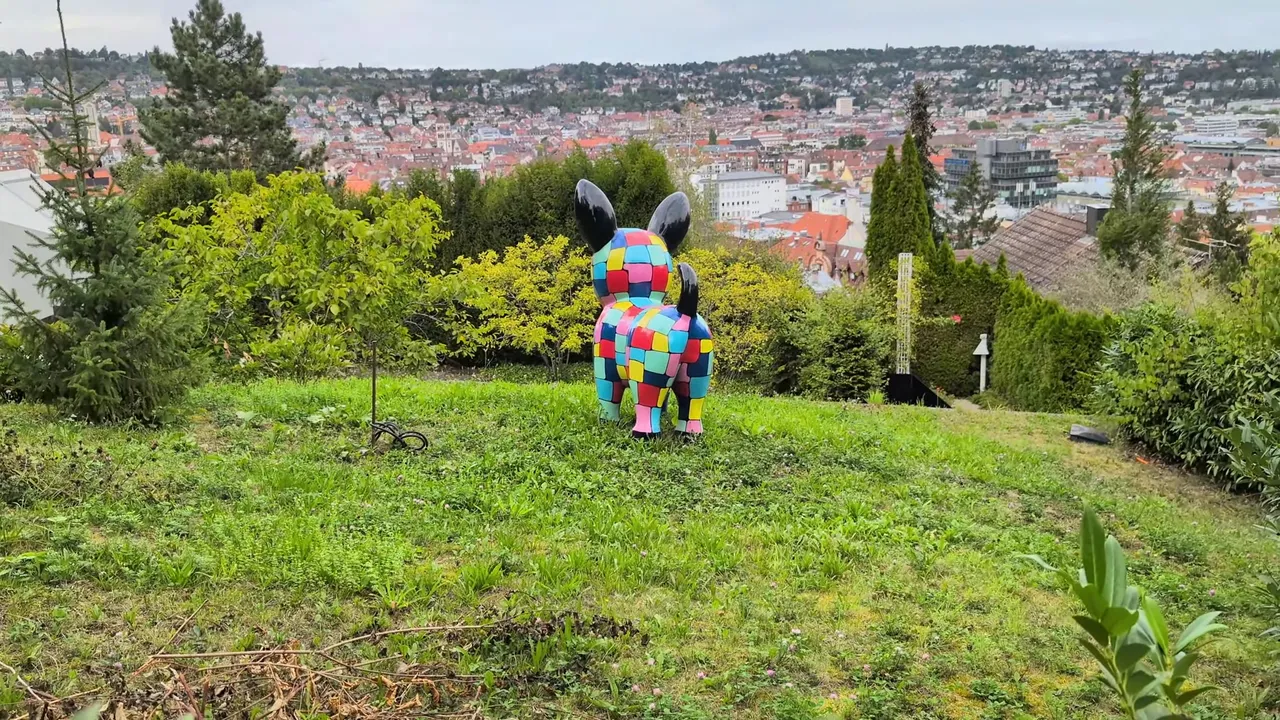 335.jpg