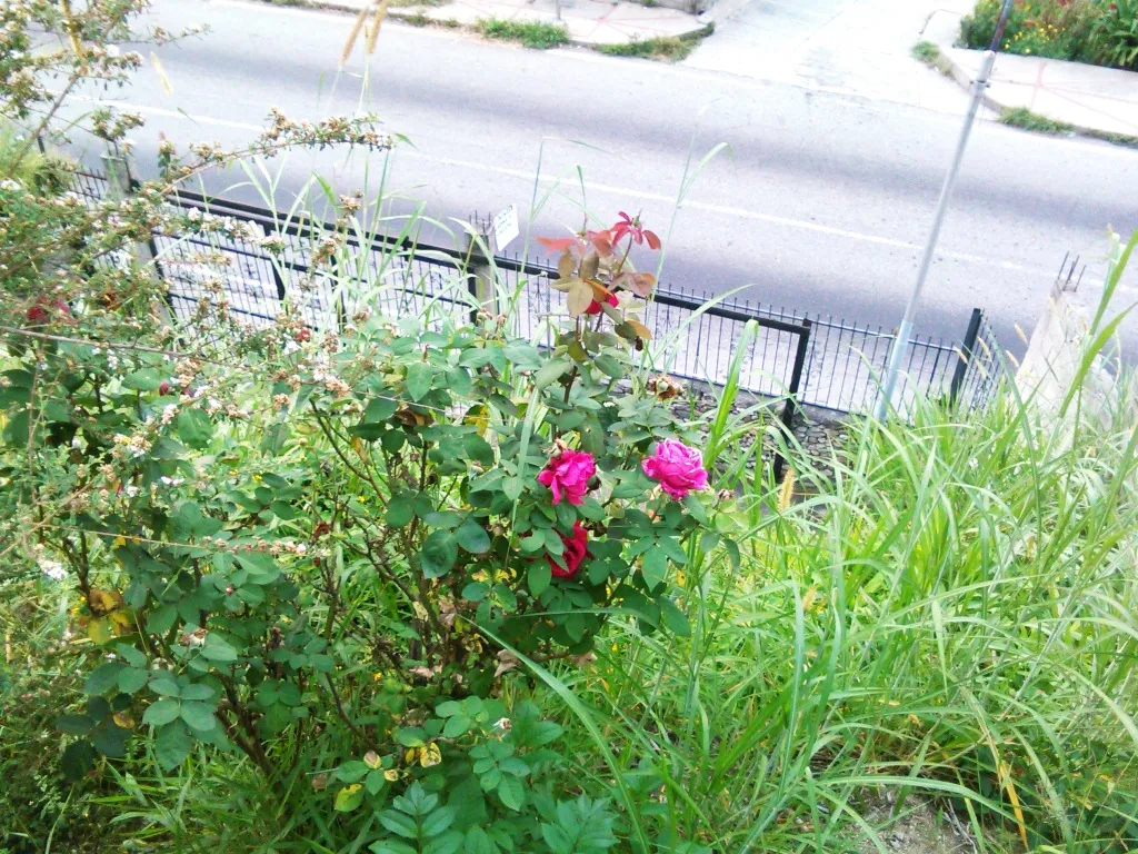021.jpg